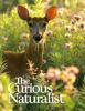 The_Curious_naturalist
