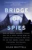 Bridge_of_spies