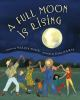A_full_moon_is_rising